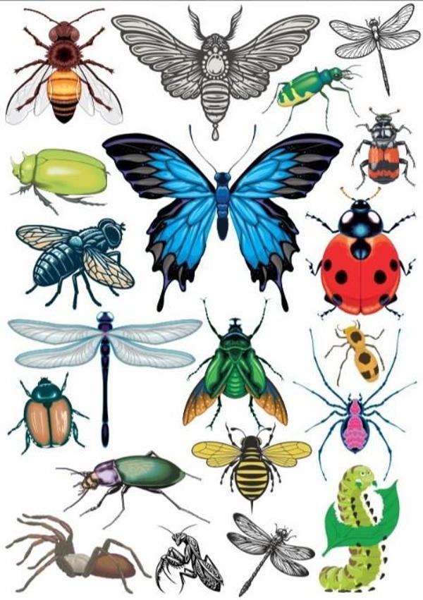 Kelebekler Sticker Set - Image 1