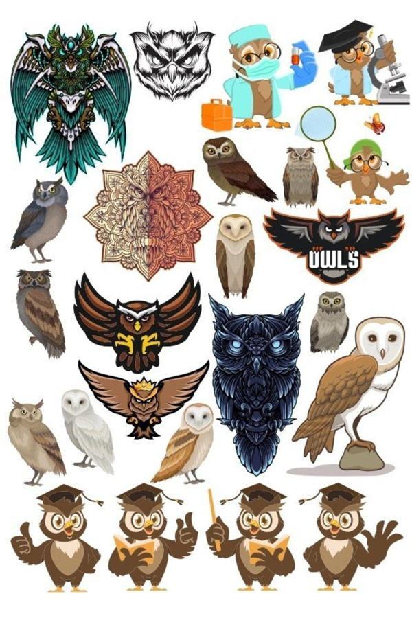 Baykuş OWL Sticker Set-16 16 Parça Telefon, Tablet, Defter, Laptop Sticker - Image 1