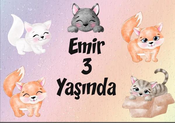 Kedi Teamlı Doğum Günü Afişi 70X100 cm - Image 1