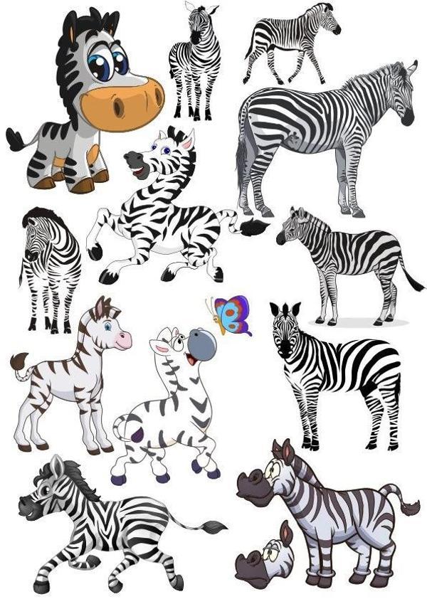 Zebra Sticker Set-1 13 Parça Telefon, Tablet, Defter, Laptop Sticker - Image 1