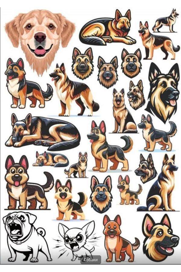 K9 Köpek Sticker Set 2 - Image 1