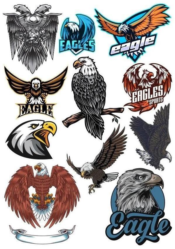 Kartal Eagle Sticker Set 11 Parça Telefon, Tablet, Defter, Laptop Sticker - Image 1