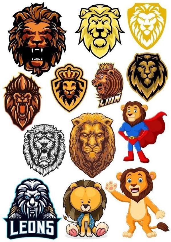 İguana Sticker Set-1 13 Parça Telefon, Tablet, Defter, Laptop Sticker - Image 1