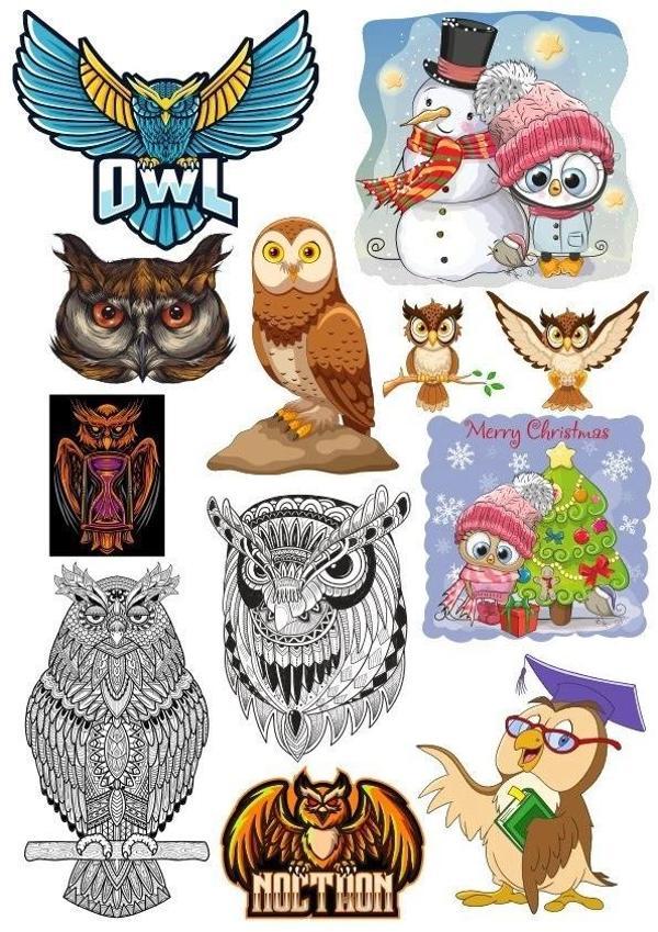 Baykuş Owl Sticker Set 11 Parça Telefon, Tablet, Defter, Laptop Sticker - Image 1