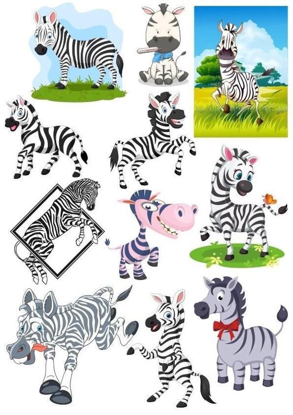 Zebra Sticker Set-2 12 Parça Telefon, Tablet, Defter, Laptop Sticker - Image 1