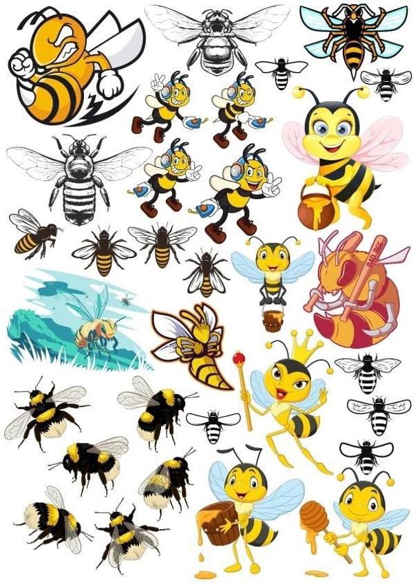 Arılar Sticker Set 2 20 Parça Telefon, Tablet, Defter, Laptop Sticker - Image 1