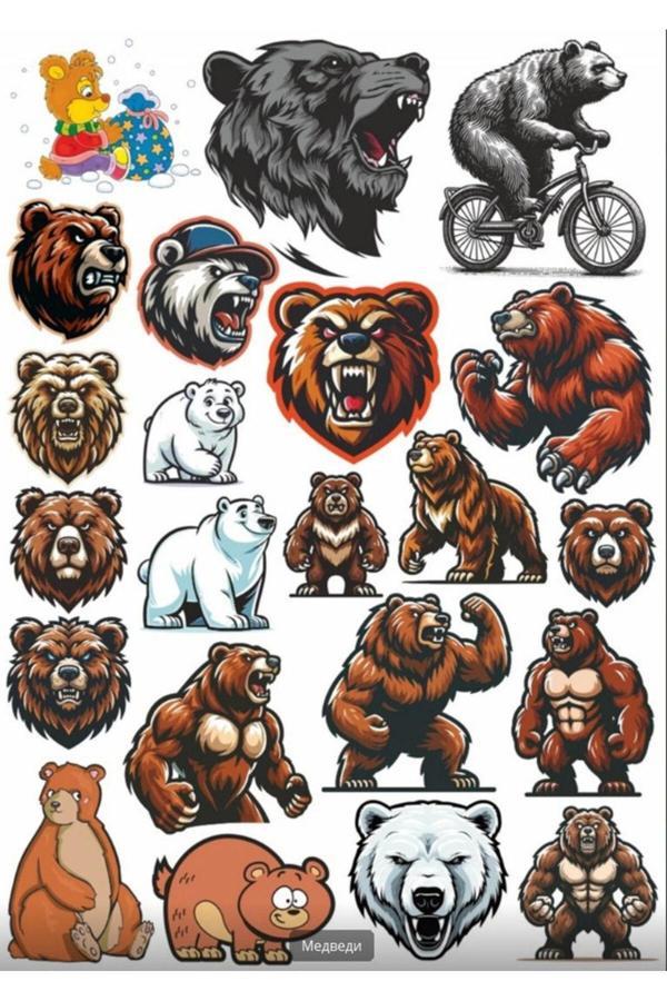 Kızgın Ayı Sticker Set 2 - Image 1