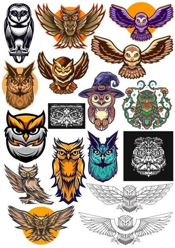 Baykuş OWL Sticker Set-16 17 Parça Telefon, Tablet, Defter, Laptop Sticker - Image 1