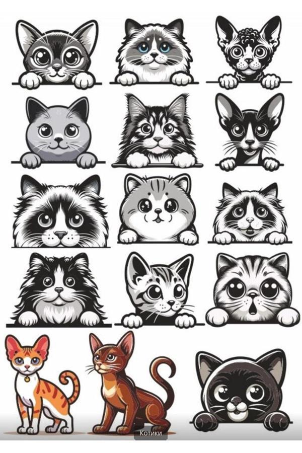 Siyah Beyaz Kediler Sticker Set 2 - Image 1
