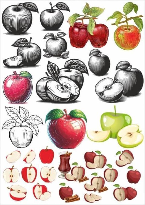 Elma Sticker Set - Image 1