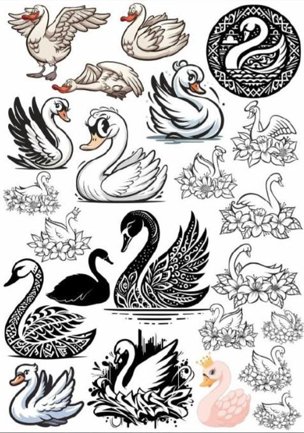 Kuğu Sticker SEt - Image 1