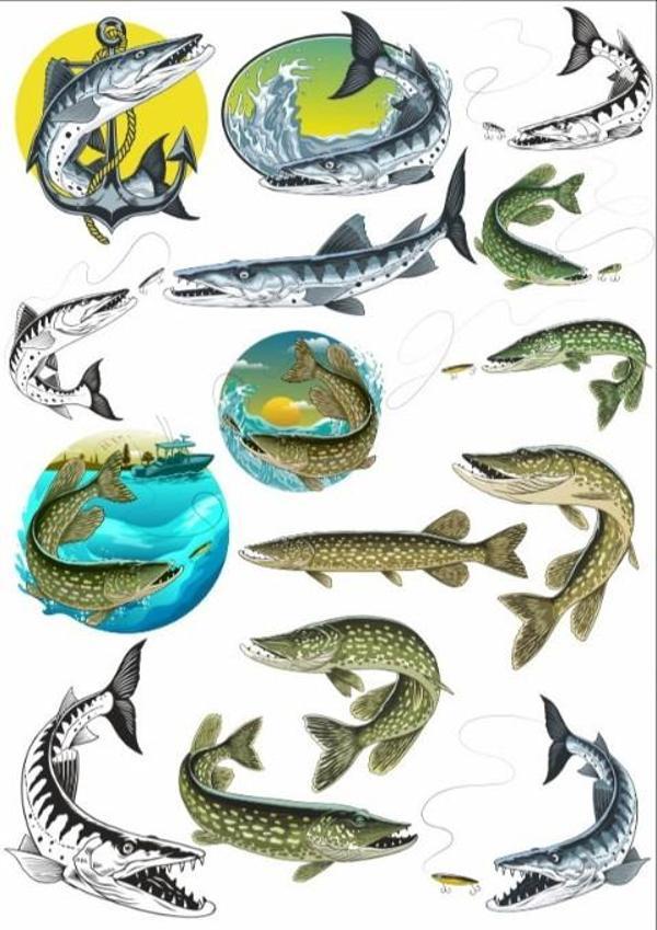 Balık Sticker Set - Image 1