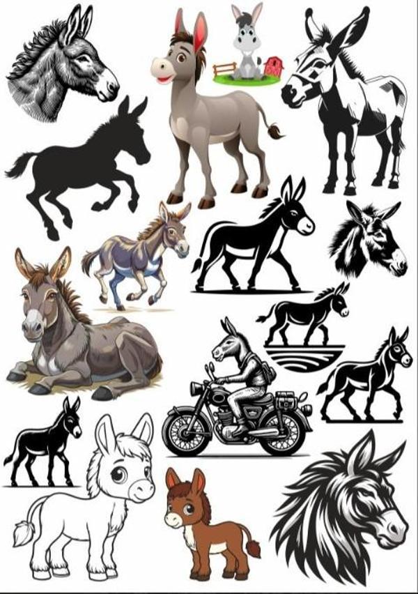 Eşşek Sticker SEt - Image 1