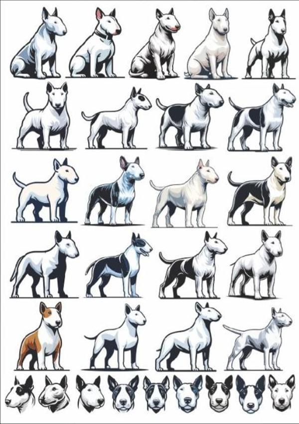 Köpek Sticker Set - Image 1