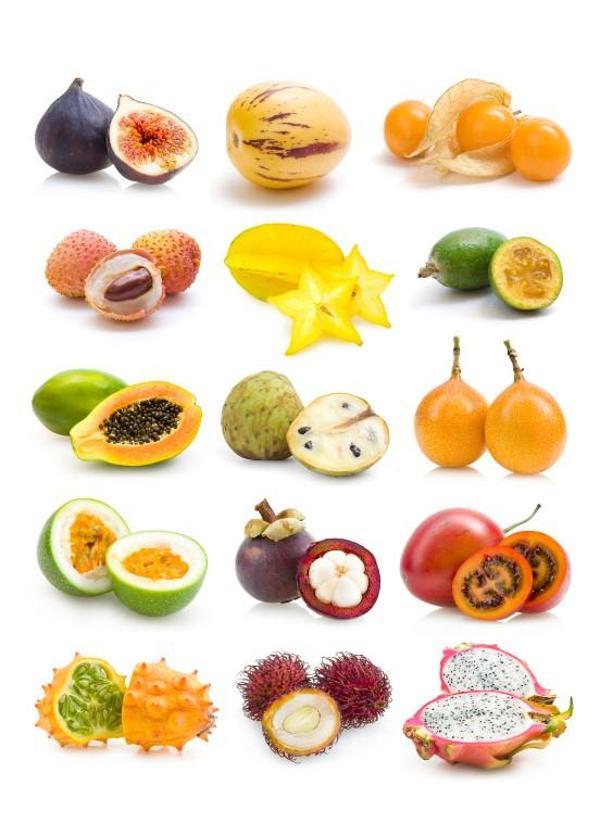 Meyveler Sticker SEt - Image 1