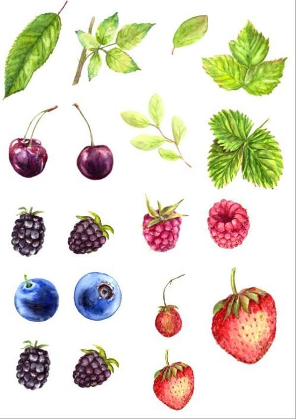 Meyveler Sticker SEt - Image 1