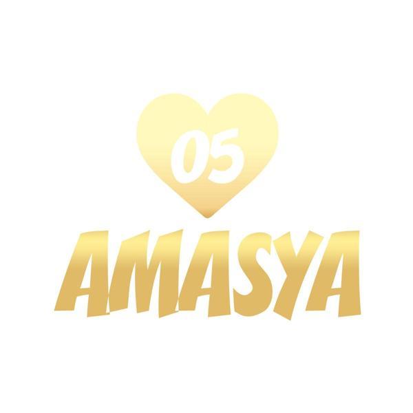 Kalpli 05 Amasya Araba Sticker 17x17 Cm Gold - Image 1