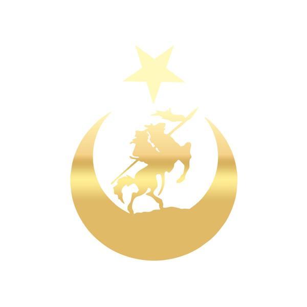 Akıncı ve Ay Yıldız Türk Bayrağı Araba Sticker 17x17 Cm Gold - Image 1