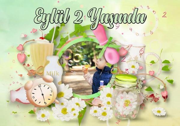 Resimli Çiçek Temalı Doğum Günü Afişi 100X150 cm - Image 1