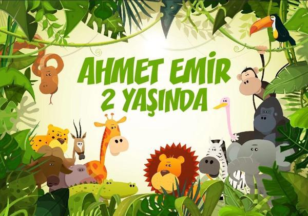 Safafi Temalı Doğum Günü Afişi 50X70 cm - Image 1