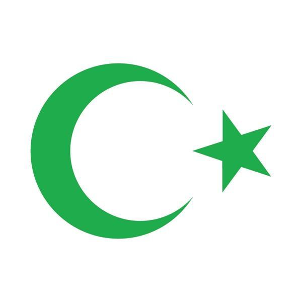 Ay Yıldız Sticker 17x17 Cm Yeşil - Image 1