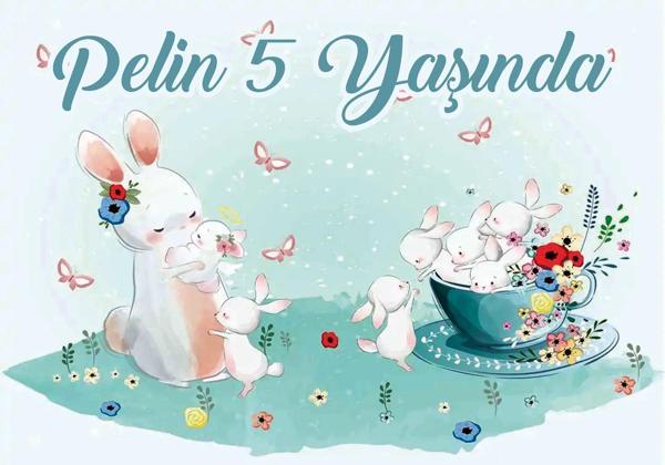 Tavşan Temalı Doğum Günü Afişi 35X50 cm - Image 1