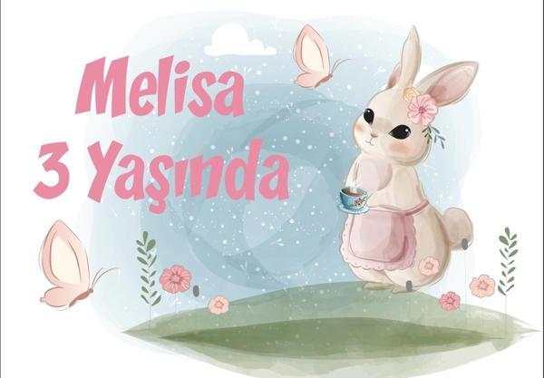 Tavşan Temalı Doğum Günü Afişi 50X70 cm - Image 1