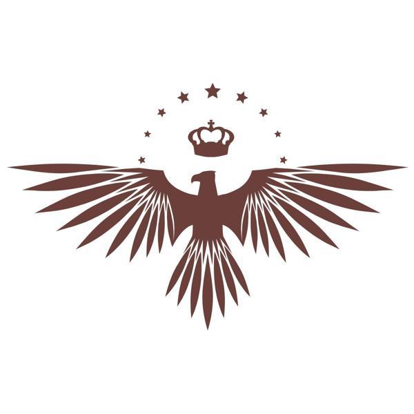 Yıldızlı Kartal  Oto Sticker17x17 Cm Kahverengi - Image 1