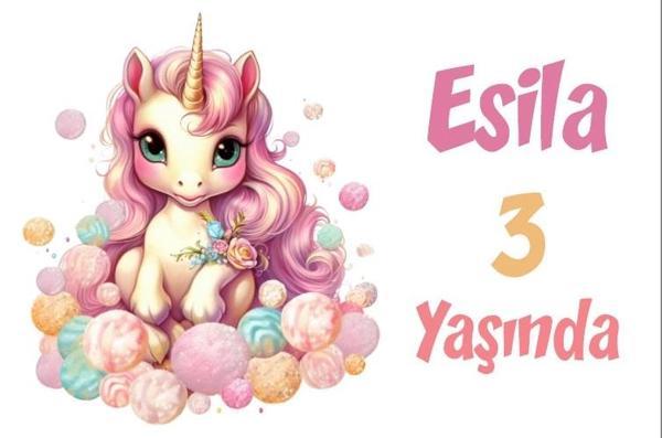 Pembe Unicorn Temalı Doğum Günü Afişi -7 35X50 cm - Image 1
