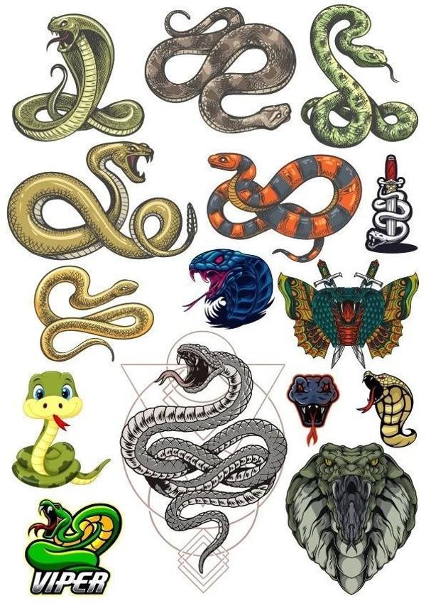 Yılan Sticker Set-3 13 Parça Telefon, Tablet, Defter, Laptop Sticker - Image 1