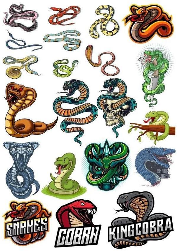 Yılan Cobra Sticker-2 17 Parça Telefon, Tablet, Defter, Laptop Sticker - Image 1