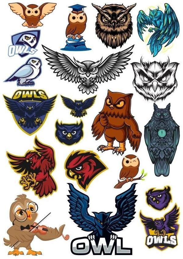 Baykuş OWL Sticker Set-12 20 Parça Telefon, Tablet, Defter, Laptop Sticker - Image 1
