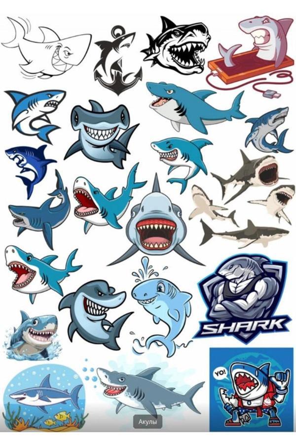 Köpek Balığı Sticker Set 1 - Image 1