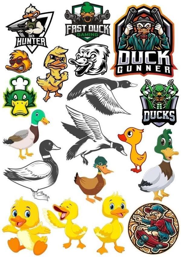 Ördek Sticker Set 17 Parça Telefon, Tablet, Defter, Laptop Sticker - Image 1