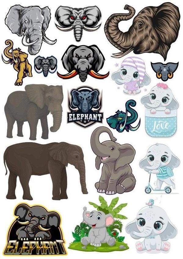 Fil Temalı Sticker Set-1 17 Parça Telefon, Tablet, Defter, Laptop Sticker - Image 1