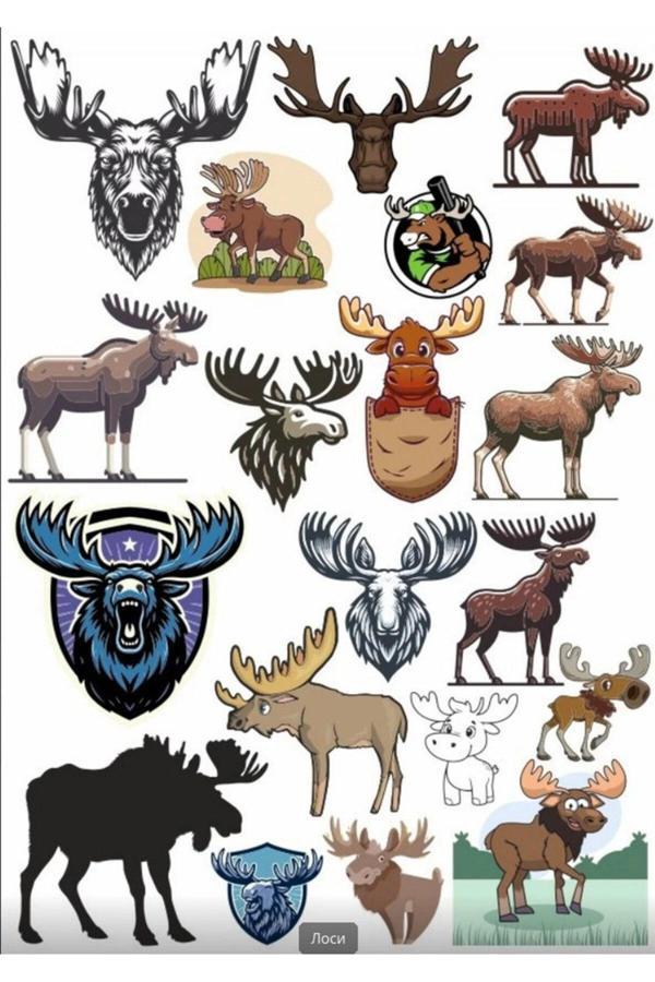 Geyik Sticker Set 1 - Image 1