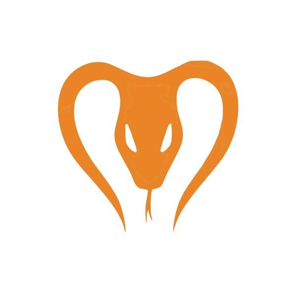 Yılan Araba Sticker 17x17 Cm Turuncu - Image 1