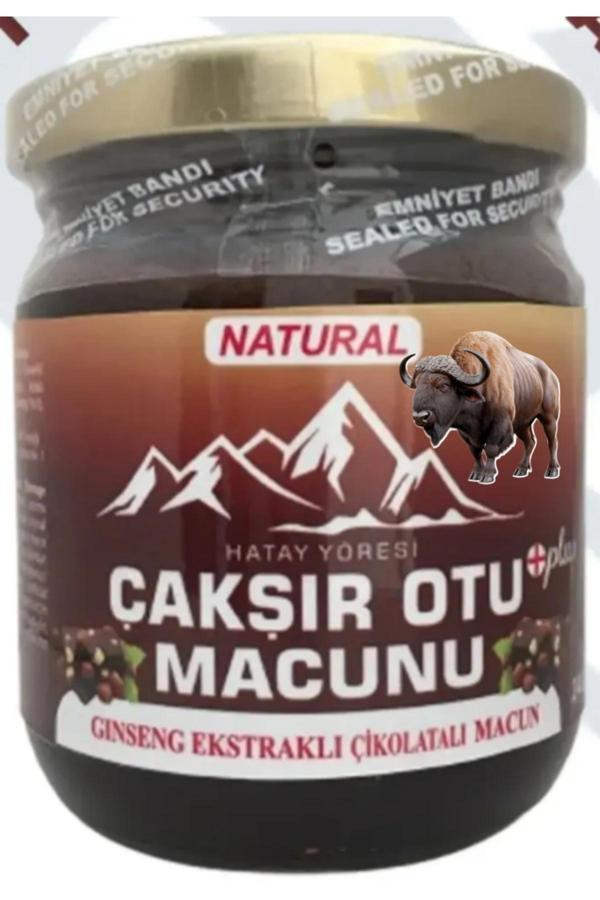 Kademgiller Hatay Yöresi Çikolatalı Çakşır Kökü Macunu 240 Gr - Image 1