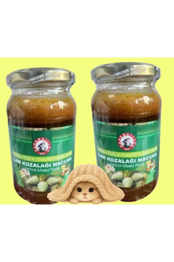 Kademgiller Kestane Ballı Çam Kozalağı Macunu 450 Gr X 2 Adet - Image 1