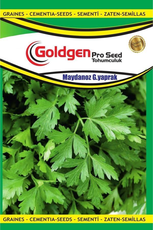 Kademgiller Maydanoz Tohumu (Geniş Yaprak) - Image 1