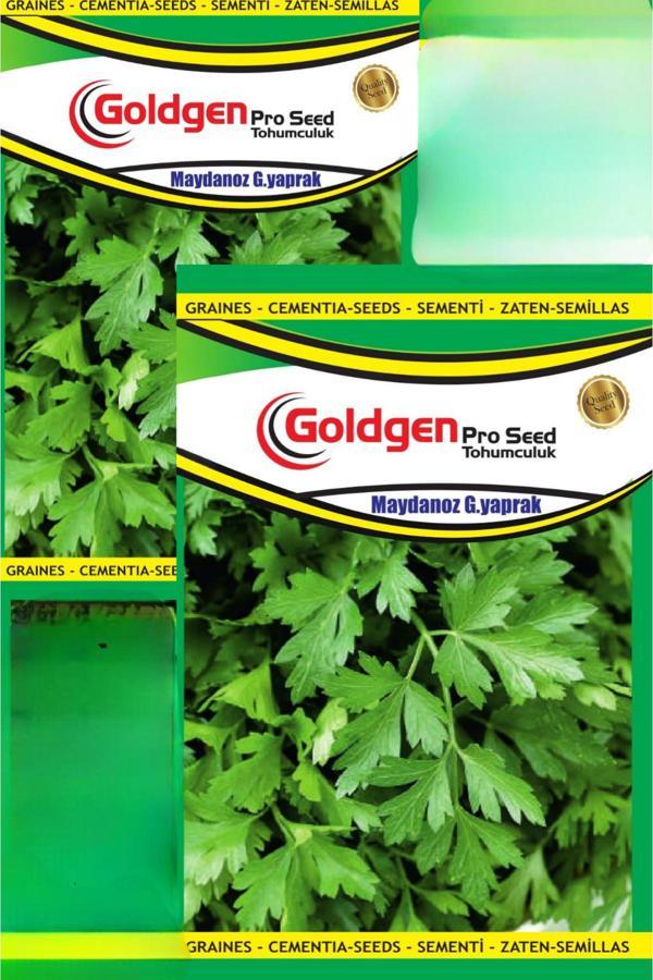Kademgiller Maydanoz Tohumu (Geniş Yaprak) 2 Paket - Image 1