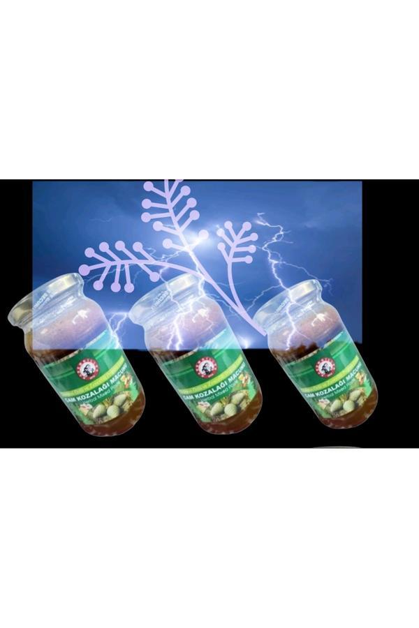 Kademgiller Kestane Ballı Çam Kozalağı Macunu 450 Gr X 3 Adet - Image 1