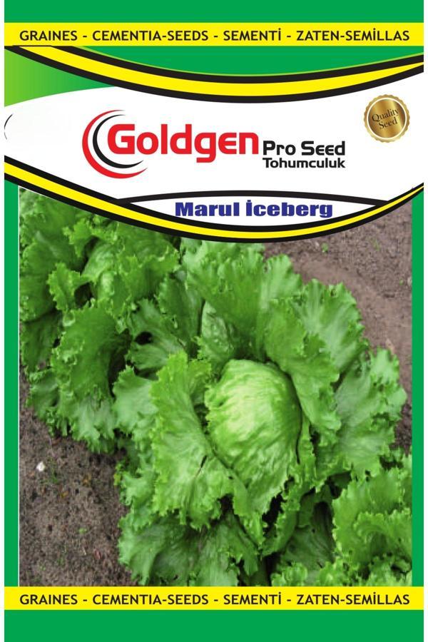 Kademgiller Iceberg Marul Tohumu - Image 1