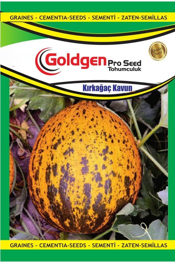 Kademgiller Kırkağaç Kavun Tohumu - Image 1