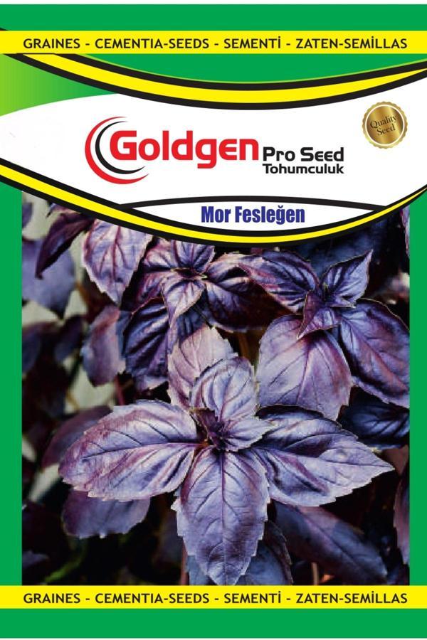 Kademgiller Mor Reyhan Tohumu - Image 1