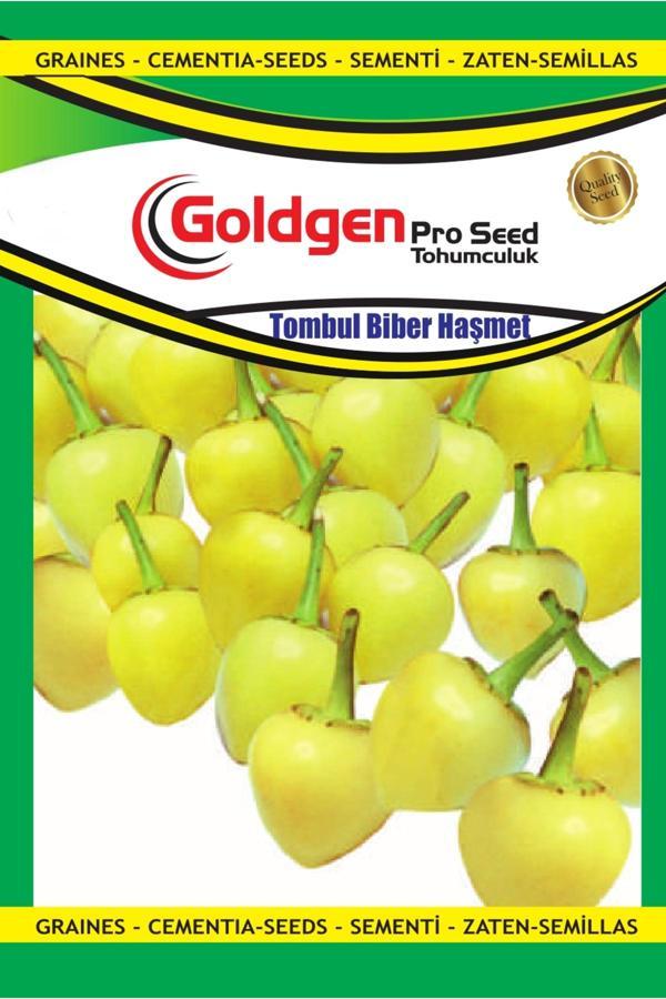 Kademgiller Tombul Biber (Haşmet) Tohumu - Image 1
