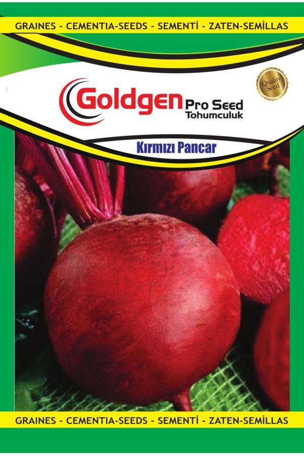 Kademgiller Kırmızı Pancar Tohumu - Image 1
