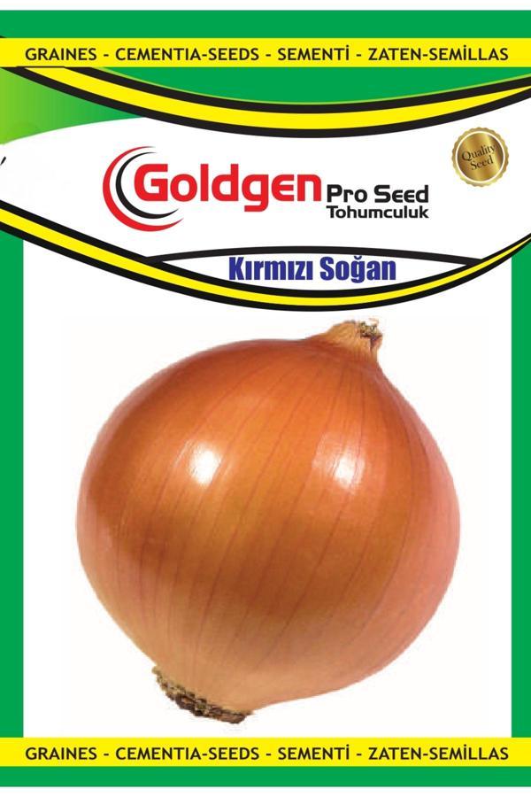Kademgiller Kırmızı Soğan Tohumu - Image 1