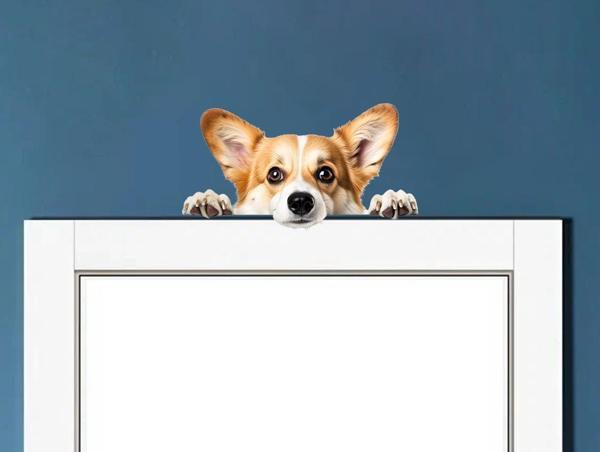 Corgi Yavrusu Duvar Stickerı - Image 1
