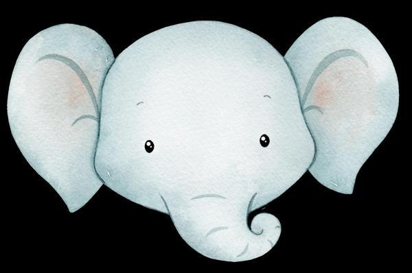 Fil Kafası Duvar Stickerı - Image 1